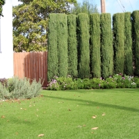 Putting Greens Krum Texas Fake Grass Back Yard