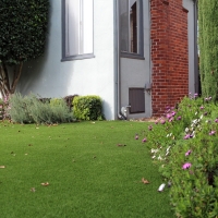 Synthetic Pet Turf Pecan Acres Texas for Dogs Front Yard