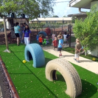 Synthetic Animal Shelter Highland Village Texas Installation