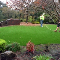 Synthetic Pet Turf Haslet Texas for Dogs Front Yard