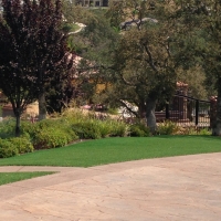 Fake Grass Aledo Texas Lawn Front Yard