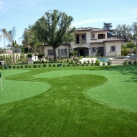 Fake Turf DISH Texas Lawn Front Yard