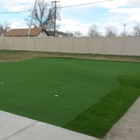 Grass Carpet Gunter, Texas