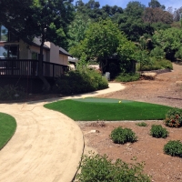 Fake Grass Kemp Texas Landscape Back Yard