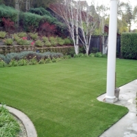 Artificial Grass Highland Village Texas Landscape Back