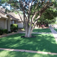 Artificial Turf Sports Fields Crandall Texas Back Yard