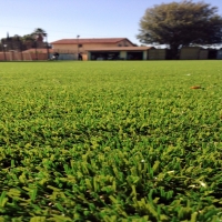 Fake Grass Duncanville Texas Landscape Back Yard