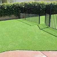 Fake Grass Pilot Point Texas Landscape Pavers Back Yard