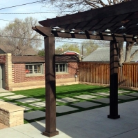 Synthetic Pet Turf Briar Texas for Dogs Back Yard