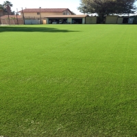 Fake Turf Farmersville Texas Landscape Back Yard