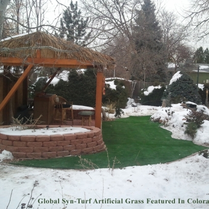 Synthetic Turf Farmers Branch Texas Lawn Back Yard Cold