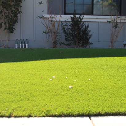 Synthetic Grass Barry Texas Lawn