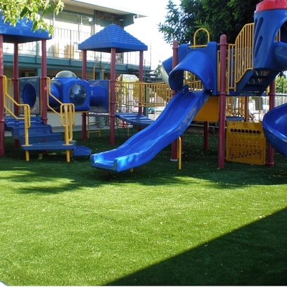 Synthetic Turf Rendon Texas Lawn Back Yard