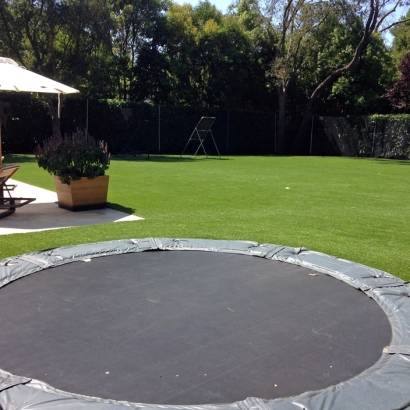 Artificial Grass Maypearl Texas Lawn Back Yard