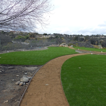 Synthetic Turf Frisco Texas Landscape Front Yard