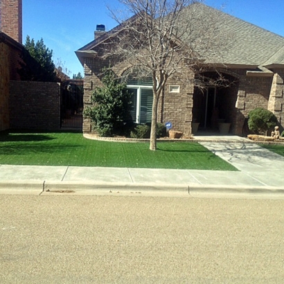 Synthetic Pet Turf Briaroaks Texas for Dogs Front Yard