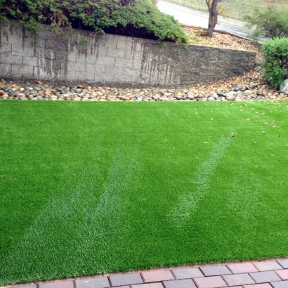 Fake Grass Haslet Texas Landscape Pools Back Yard