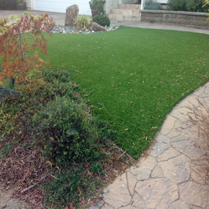 Artificial Grass Ponder Texas Landscape Front Yard