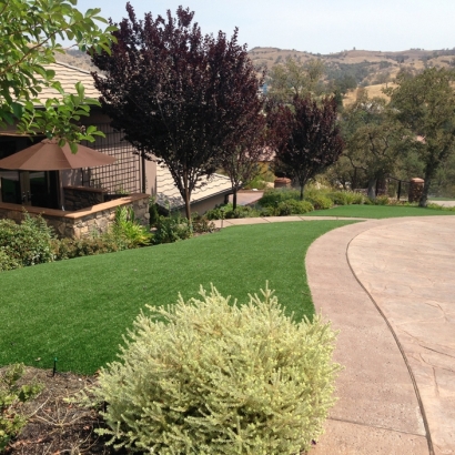 Artificial Turf School Stadium Hurst Texas Front Yard