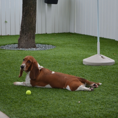 Artificial Turf Installation Tom Bean, Texas