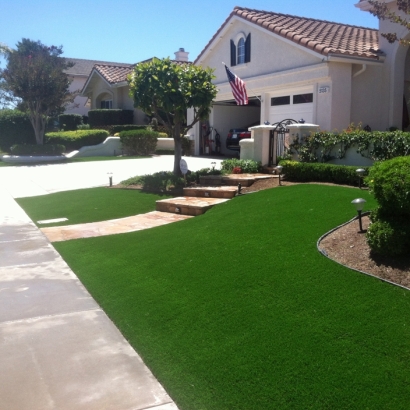 Putting Greens The Colony Texas Synthetic Grass Back Yard