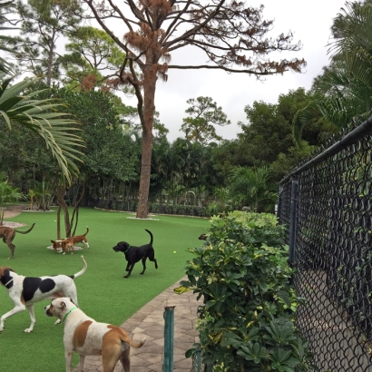 Artificial Turf Newark Texas Landscape Back Yard