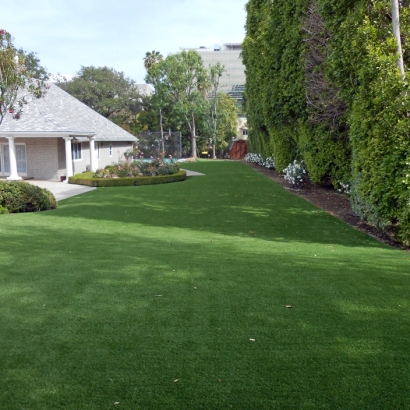 Golf Putting Greens Fate Texas Synthetic Grass Back Yard