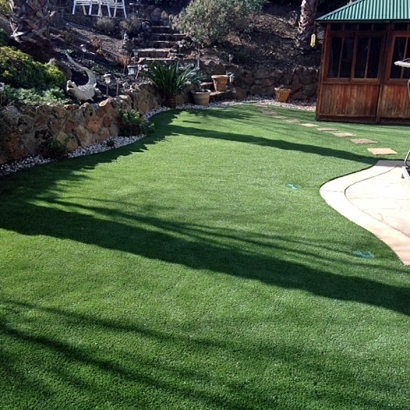 Fake Grass Gunter Texas Lawn Back Yard