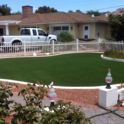 Synthetic Grass Sports Heath Texas Front Yard