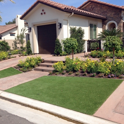 Synthetic Pets Areas Cottonwood Texas for Dogs Back Yard