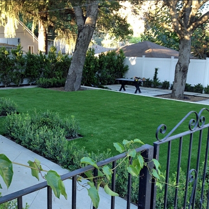 Putting Greens Kemp Texas Fake Turf Front Yard