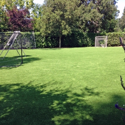 Artificial Turf Colleyville Texas Landscape Back Yard