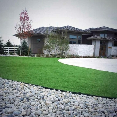 Putting Greens Blue Ridge Texas Artificial Grass Back Yard