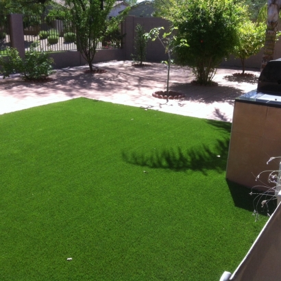 Putting Greens Barry Texas Synthetic Turf Back Yard