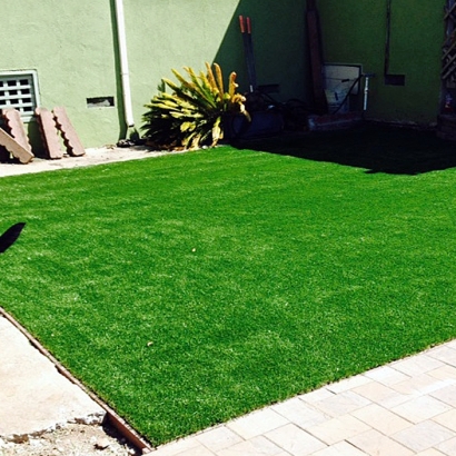 Putting Greens Shady Shores Texas Synthetic Grass Back Yard