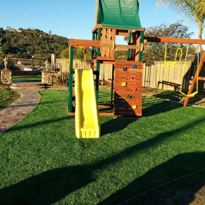 Artificial Turf Lancaster Texas Landscape Back Yard