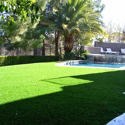 Fake Turf Godley Texas Landscape Grass for Dogs Back Yard