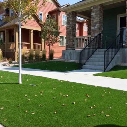 Synthetic Grass Carrollton Texas Lawn Front Yard