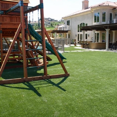 Artificial Grass Sports Fields Ovilla Texas Back Yard