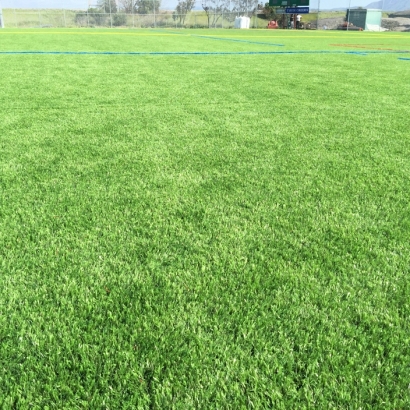 Synthetic Grass Aledo Texas Landscape Back Yard
