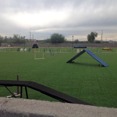 Putting Greens Copper Canyon Texas Fake Turf Back Yard