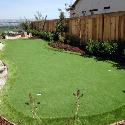 Synthetic Pet Turf Forest Hill Texas for Dogs Back Yard