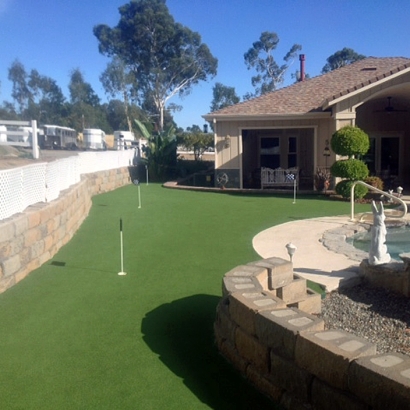 Putting Greens Krugerville Texas Artificial Turf Back Yard