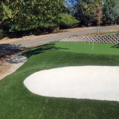 Putting Greens Wilmer Texas Synthetic Turf Front Yard
