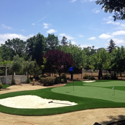 Artificial Turf Quinlan Texas Lawn Front Yard