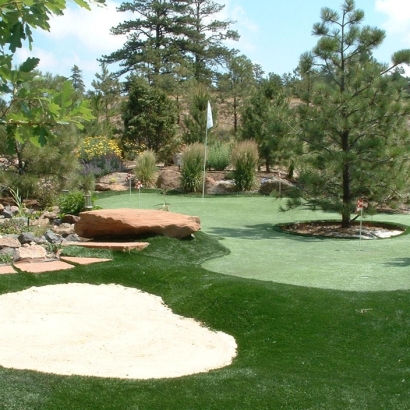 Synthetic Grass Blooming Grove Texas Lawn Back Yard