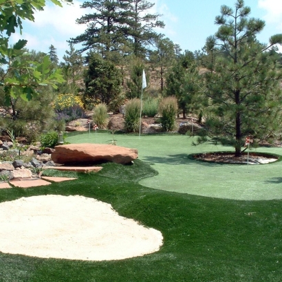 Artificial Turf Pelican Bay Texas Lawn Back Yard