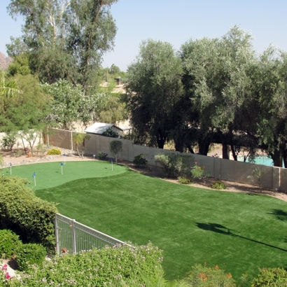 Artificial Turf Combine Texas Landscape Back Yard