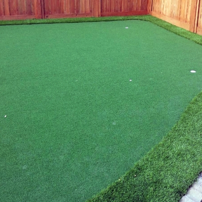 Fake Turf DISH Texas Landscape Front Yard