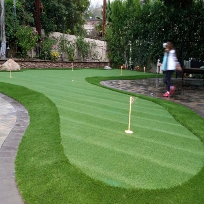 Putting Greens DISH Texas Fake Turf Front Yard